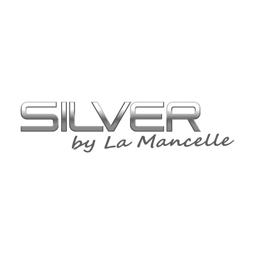 logo Silver